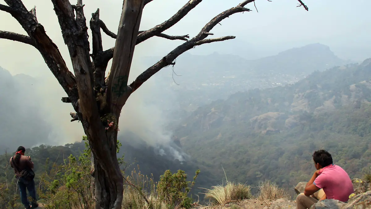 549077_Incendio Tepoztlan_impreso